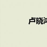 卢晓鸿（关于卢晓鸿的介绍）