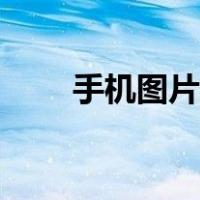 手机图片尺寸比例（手机图片尺寸）