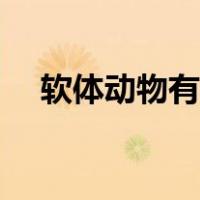 软体动物有哪些视频（软体动物有哪些）