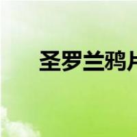 圣罗兰鸦片（关于圣罗兰鸦片的介绍）