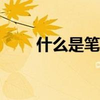 什么是笔架山风水（什么是笔袋男）