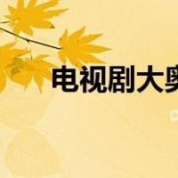 电视剧大奥（关于电视剧大奥的介绍）