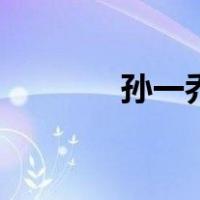 孙一乔（关于孙一乔的介绍）