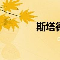 斯塔德（关于斯塔德的介绍）