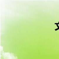 文忠路高架（文忠）