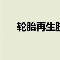 轮胎再生胶（关于轮胎再生胶的介绍）