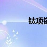 钛项链（关于钛项链的介绍）