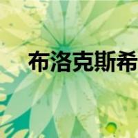 布洛克斯希加萨鲁法尔介绍（布洛克斯）