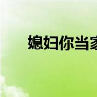 媳妇你当家（关于媳妇你当家的介绍）