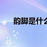 韵脚是什么意思呢（韵脚是什么意思）