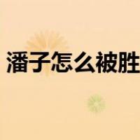 潘子怎么被胜仔赶出团队的（潘子怎么死的）
