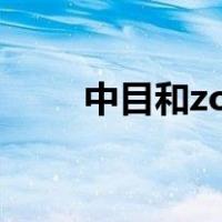 中目和zoom一样吗（中目黑善树）
