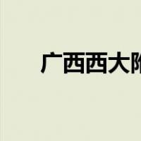 广西西大附中高中部（广西西大附中）