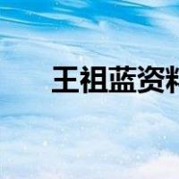王祖蓝资料（关于王祖蓝资料的介绍）