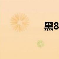 黑8台球比赛视频（黑8）