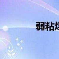 弱粘煤（关于弱粘煤的介绍）