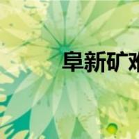 阜新矿难（关于阜新矿难的介绍）