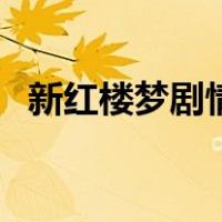 新红楼梦剧情（关于新红楼梦剧情的介绍）