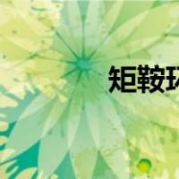 矩鞍环（关于矩鞍环的介绍）