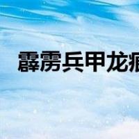 霹雳兵甲龙痕（关于霹雳兵甲龙痕的介绍）