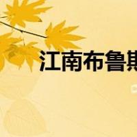 江南布鲁斯（关于江南布鲁斯的介绍）