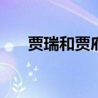 贾瑞和贾府关系（贾瑞和贾府的关系）