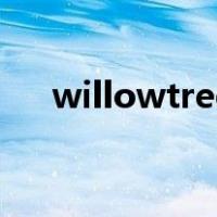willowtree（关于willowtree的介绍）
