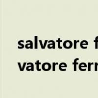 salvatore ferragamo二手包回收公司（salvatore ferragamo）