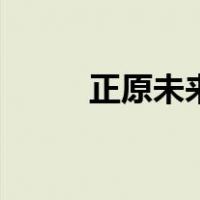 正原未来（关于正原未来的介绍）