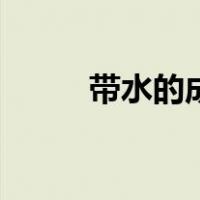 带水的成语有哪些（带水的成语）