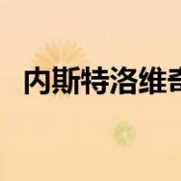 内斯特洛维奇（关于内斯特洛维奇的介绍）