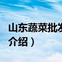 山东蔬菜批发市场（关于山东蔬菜批发市场的介绍）