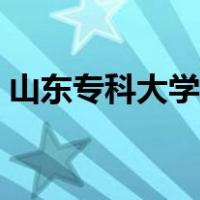 山东专科大学分数线（山东专科大学哪些好）