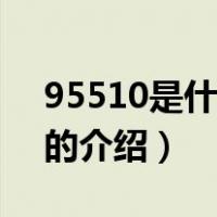 95510是什么电话（关于95510是什么电话的介绍）
