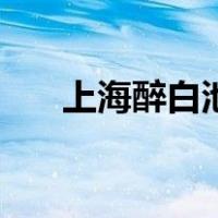 上海醉白池（关于上海醉白池的介绍）