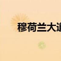 穆荷兰大道（关于穆荷兰大道的介绍）