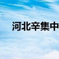 河北辛集中学校歌（河北辛集中学网站）