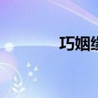 巧姻缘（关于巧姻缘的介绍）