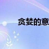 贪婪的意思标准答案（贪婪的意思）