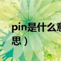 pin是什么意思电脑要设置吗（pin是什么意思）