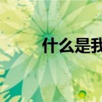 什么是我们党执政兴国的第一要务
