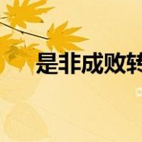 是非成败转头空青山依旧在几度夕阳红