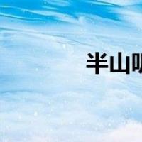 半山听雨古琴完整版（半山）