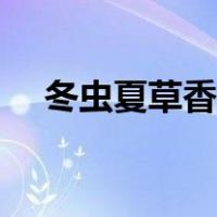 冬虫夏草香烟价格（冬虫夏草香烟价格）
