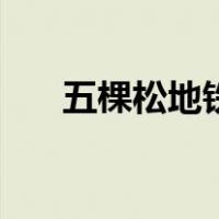 五棵松地铁（关于五棵松地铁的介绍）