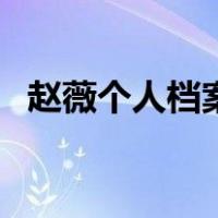 赵薇个人档案（关于赵薇个人档案的介绍）