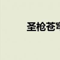 圣枪苍穹（关于圣枪苍穹的介绍）