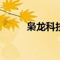 枭龙科技（关于枭龙科技的介绍）