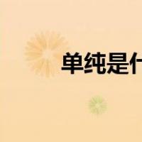 单纯是什么意思（dc是什么意思）
