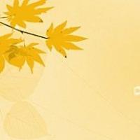 分区魔术师win7